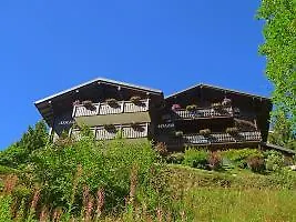 Adler Residenz 8 Riederalp