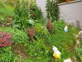 Adler Residenz 8 Apartman