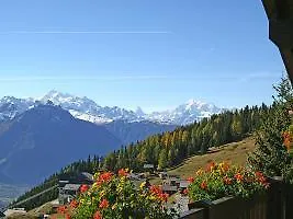 Adler Residenz 8 * Riederalp