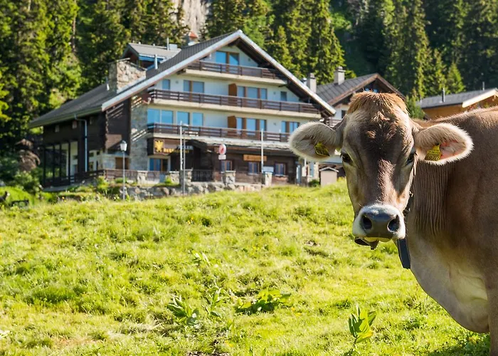 Apartmán Adler Residenz 8 *