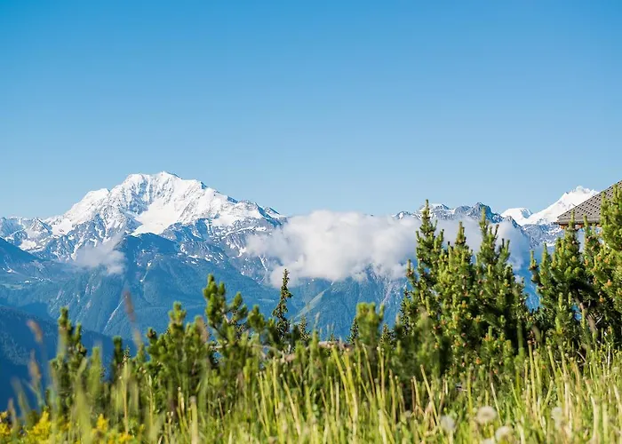 Adler Residenz 8 Apartmán *