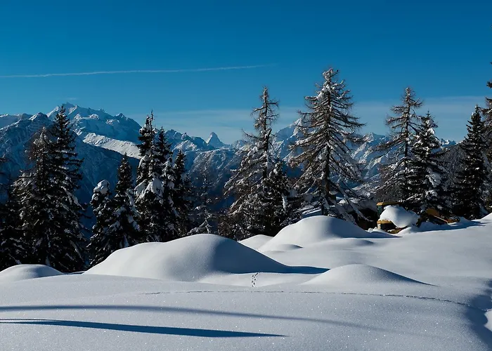 Apartmán Adler Residenz 8 *