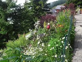 Adler Residenz 8 * Riederalp