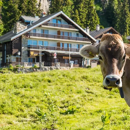 Lejlighed Adler Residenz 8 *