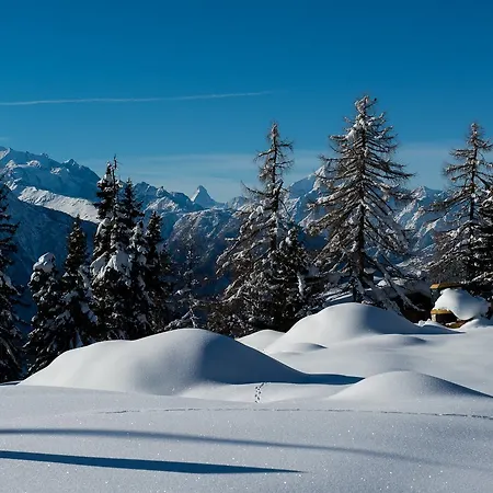 Lejlighed Adler Residenz 8 *